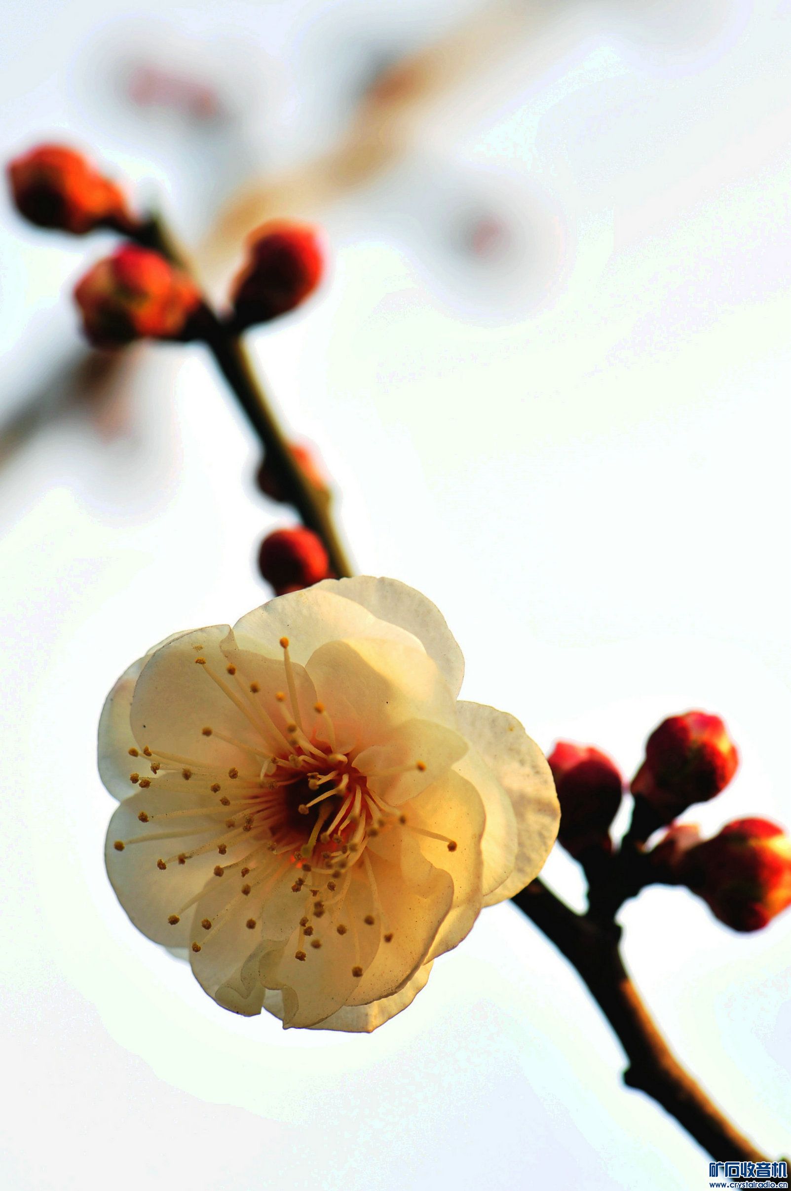 2015÷԰÷÷ 065.jpg