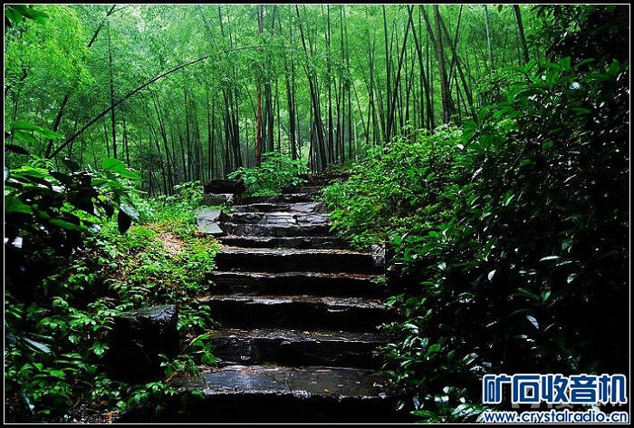 梅雨季节杭州虎跑 - 〓原创摄影天地〓 - 矿石收