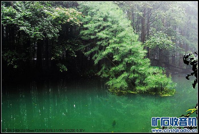 梅雨季节杭州虎跑 - 〓原创摄影天地〓 - 矿石收