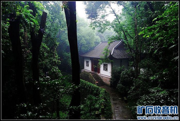 梅雨季节杭州虎跑 - 〓原创摄影天地〓 - 矿石收