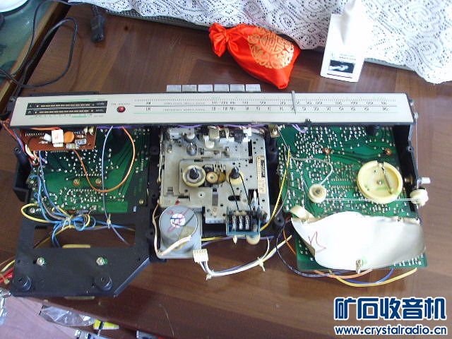 SSL28984.jpg