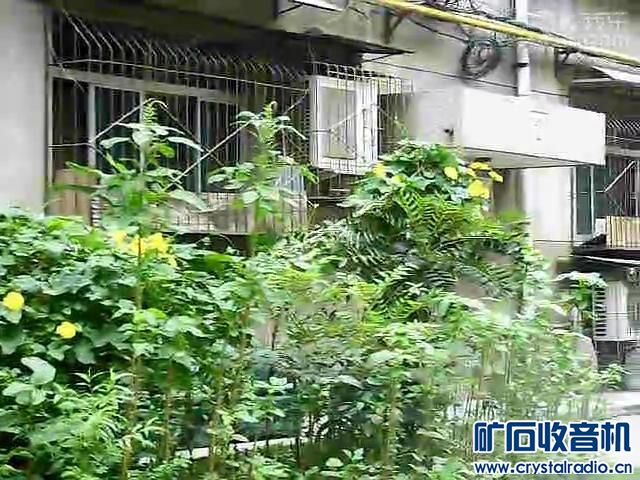 084530c4so44wiejisszy9.jpg