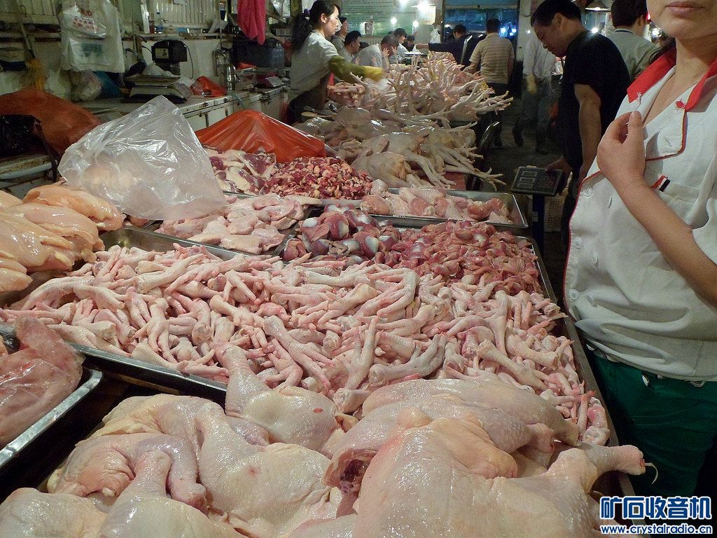 我经常去的乌鲁木齐【鸡肉】市场 - 〓生活聊天