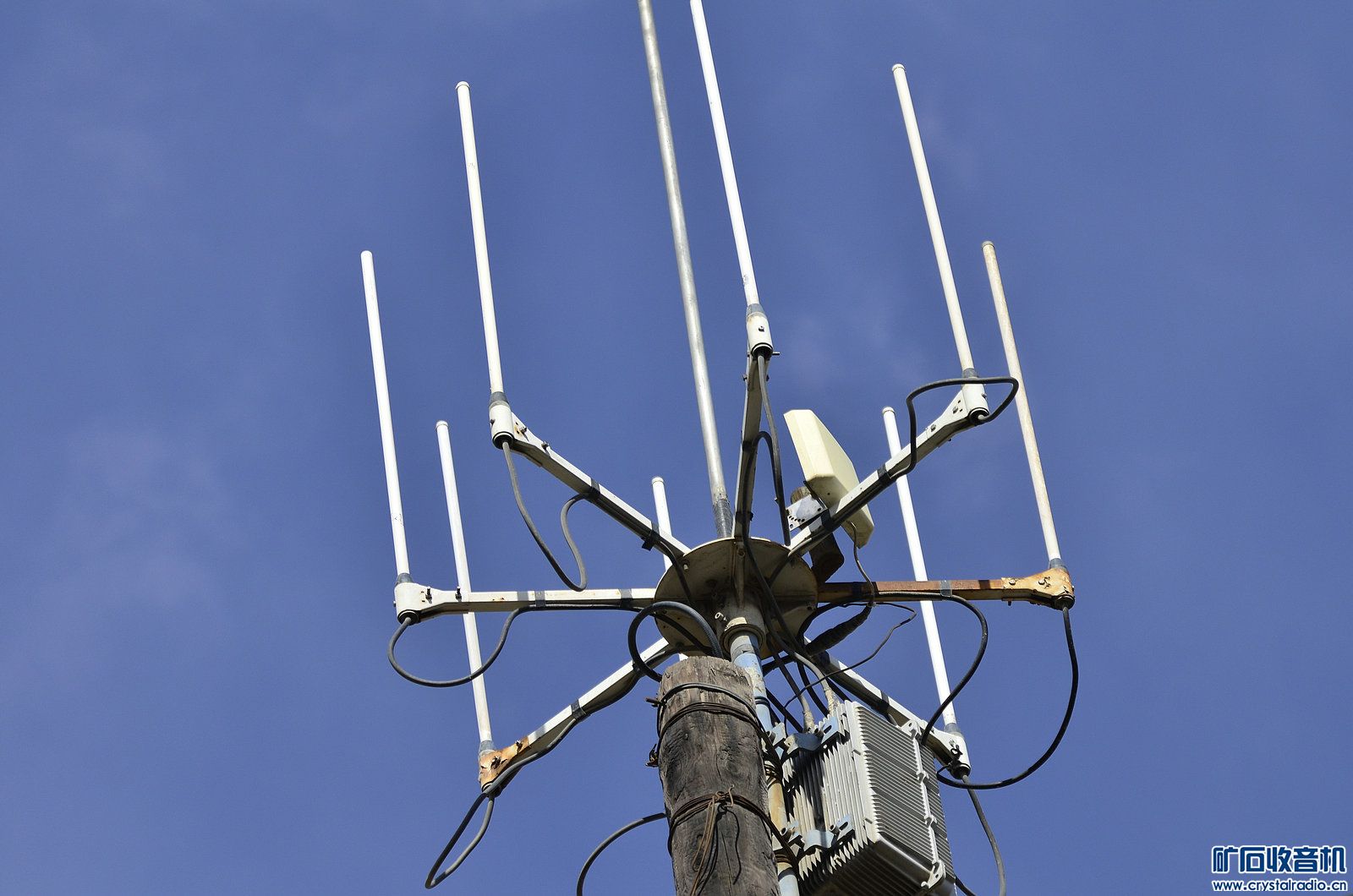 我们居住的小区附近的山上有10个天线基站 - 〓