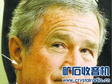 耳垂褶皱问题: - 〓生活聊天板块〓 - 矿石收音机