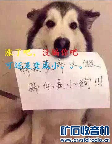 明天股市大涨 - 〓生活聊天板块〓 - 矿石收音机