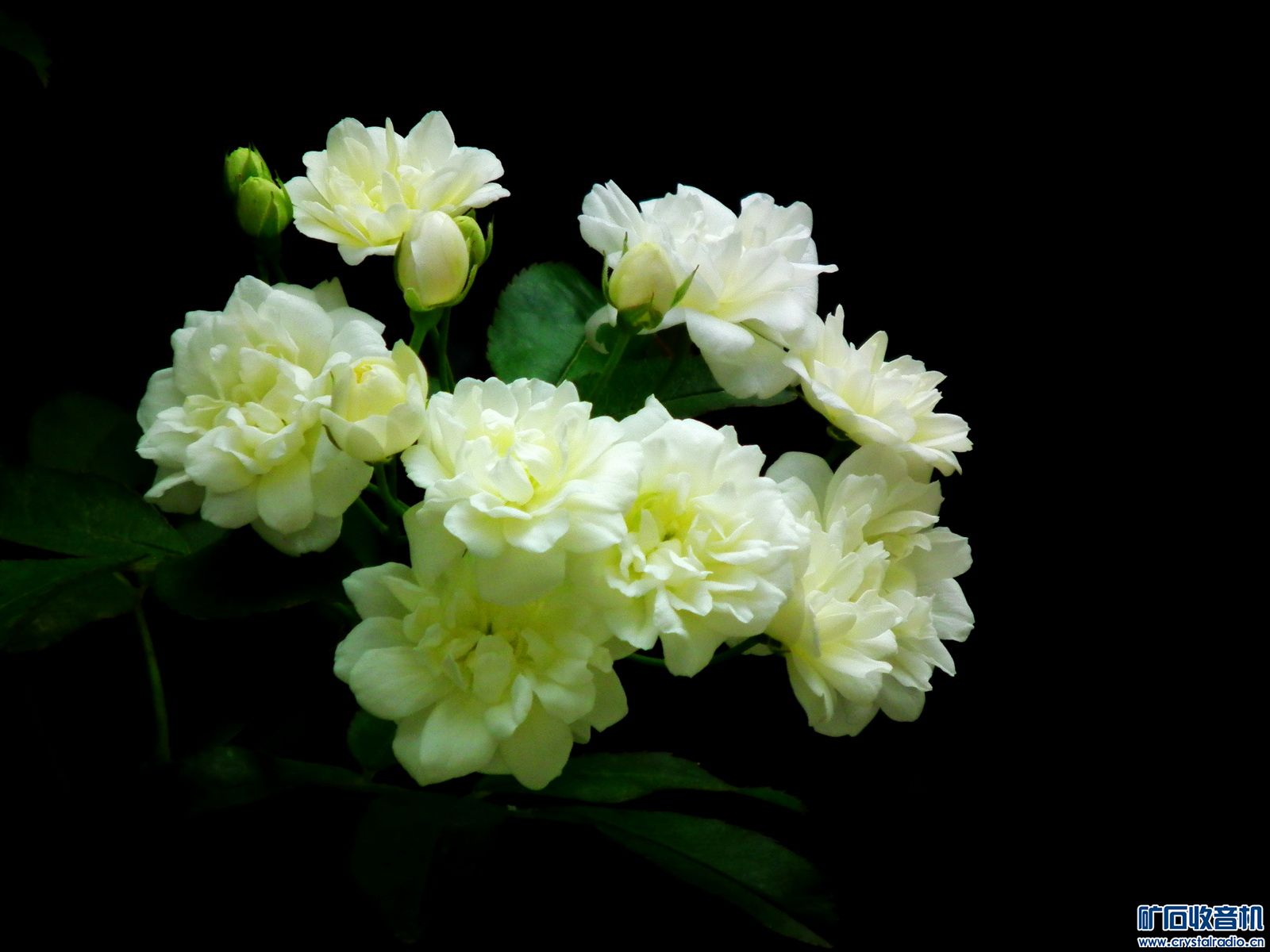 入门级单反选佳能70D还是750D - 〓原创摄影