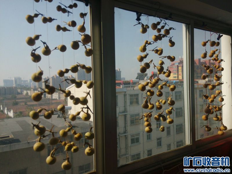 105146xlhnwjcn9jjlzkjk.jpg