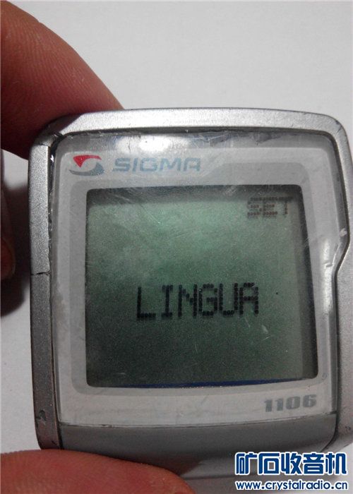ӵ磬