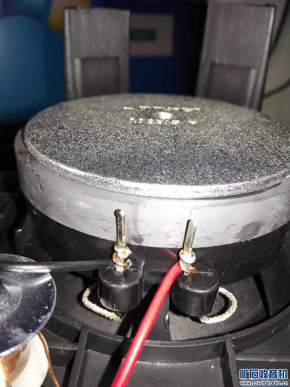 求高手辨认真假BOSE101 - 〓发烧音响专区〓