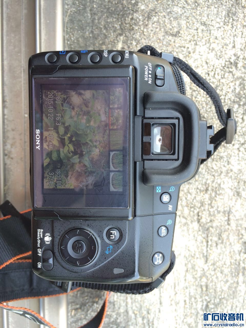 索尼单反相机价格美丽 - 〓新人交换专区〓 - 矿