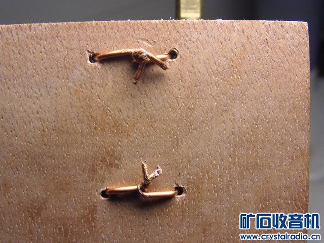 PIC_7781.JPG