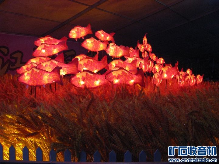 观看长沙湘江新区梅溪湖公园的灯会 - 〓生活聊