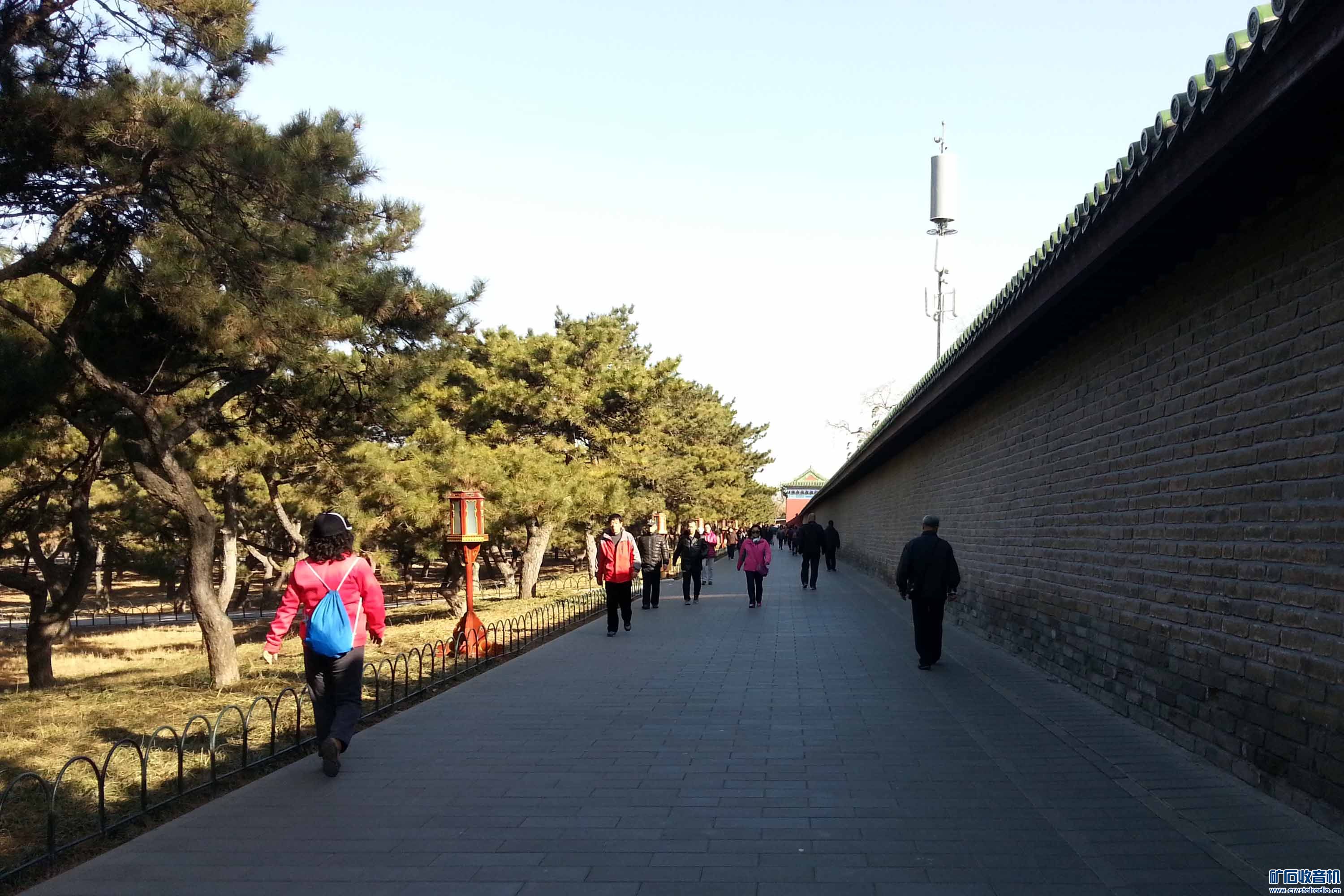 ԰糿 (10).jpg