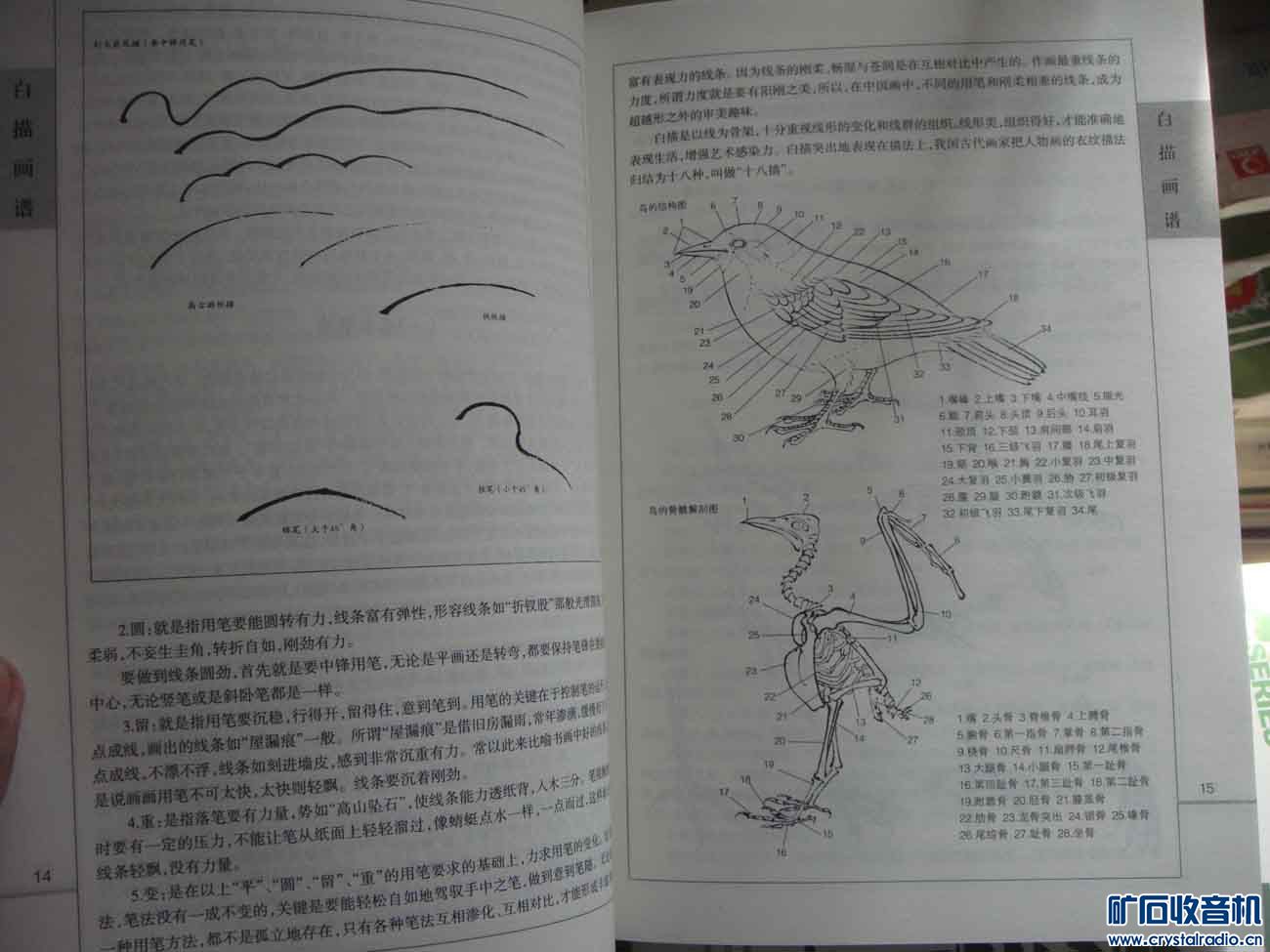 《画》电子琴简谱_电子琴简谱(3)