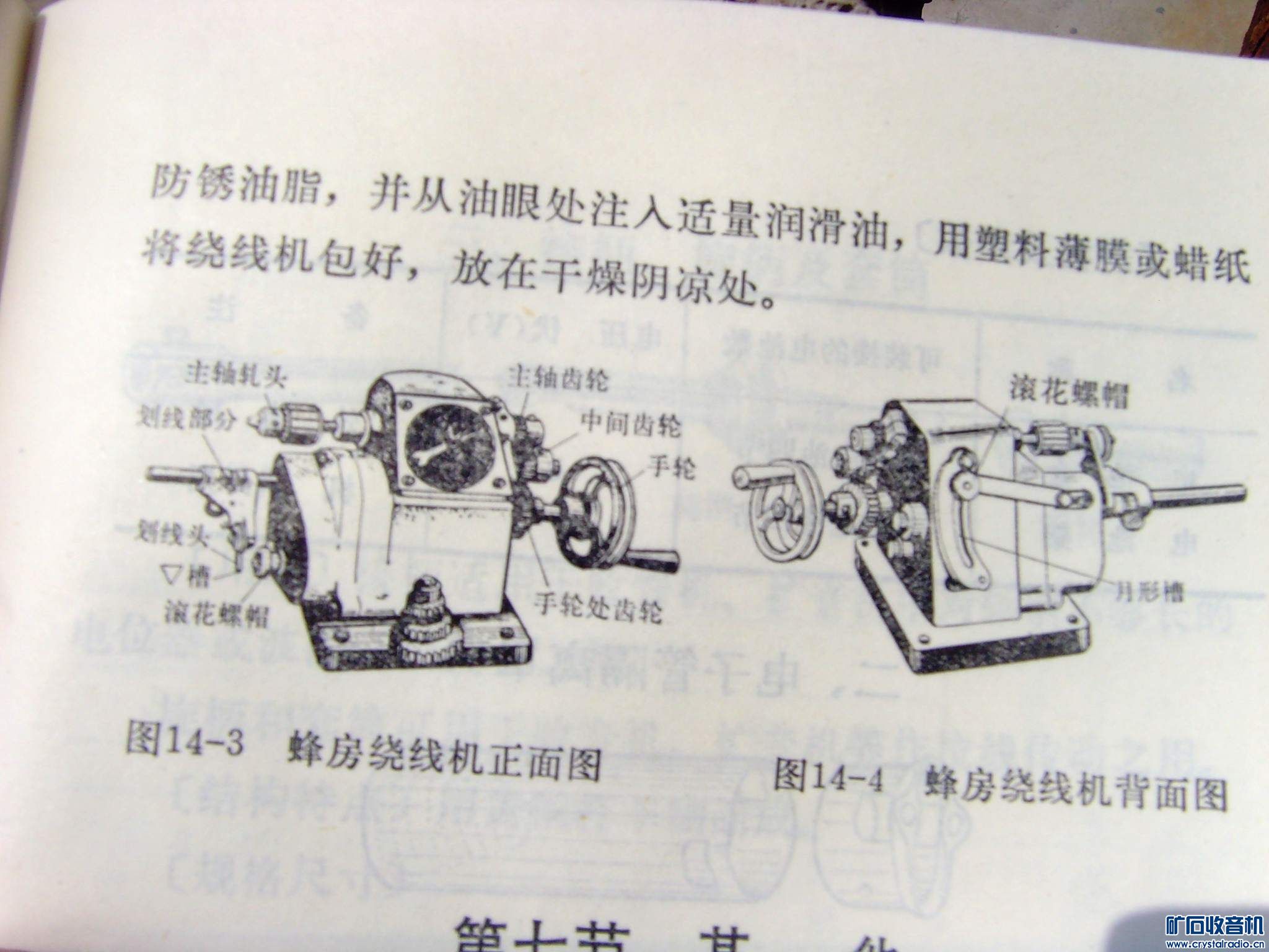 SNV37656.JPG