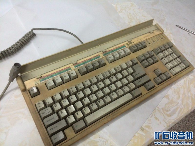 155437zh41pungdhggpl4s.jpg