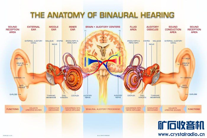 binaural-2.jpg