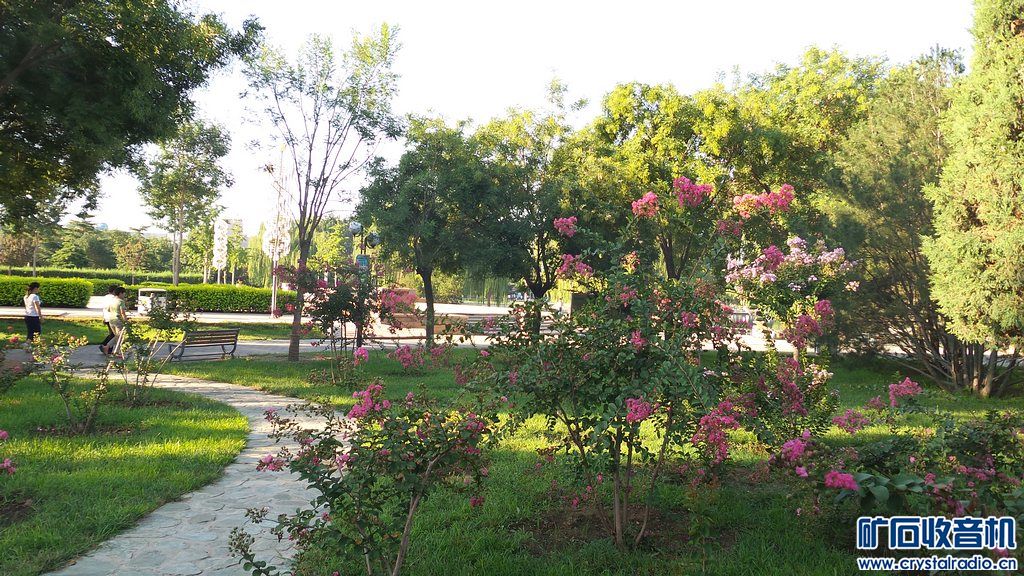 早睡不熬夜 早起不赖床 去公园锻炼身体好! - 〓