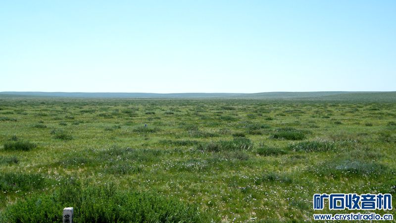 内蒙古今年雨水充沛北部高原一片碧绿 - 〓生活