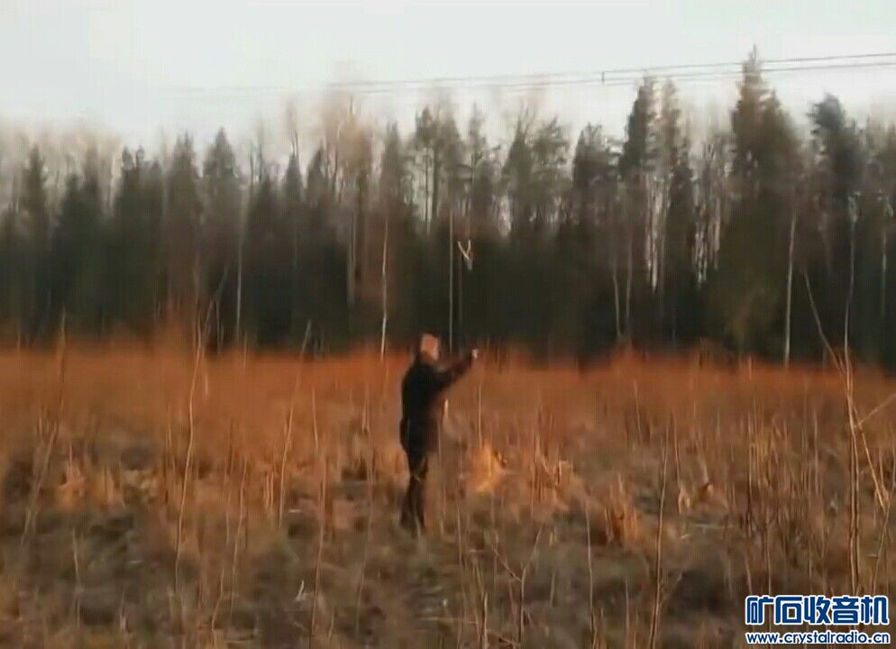 往750KV输电线上扔铁链,场面壮观。 - 〓生活