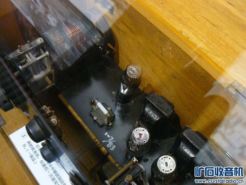 P1110101_yyy.jpg