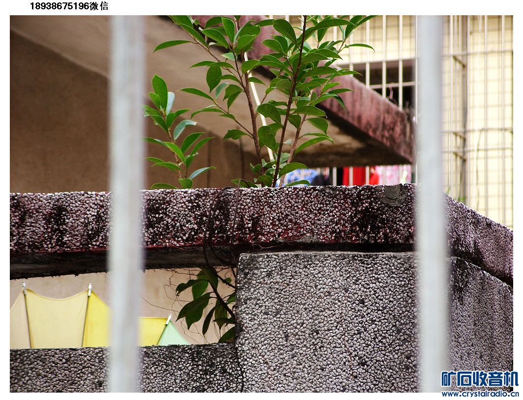 VTR8000 8G FM录像笔.300W全新电子调光器