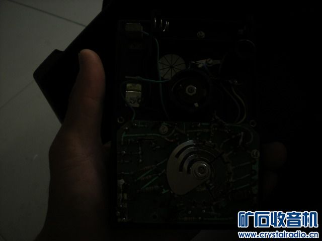 DSCN8338.JPG
