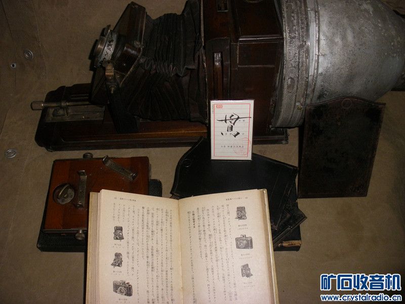P1167914_.jpg