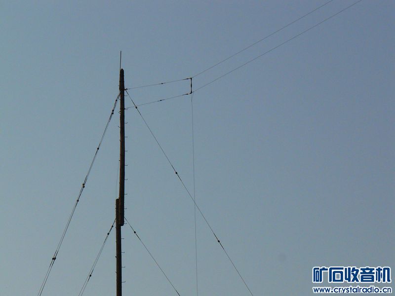P1110815_yyyy.jpg