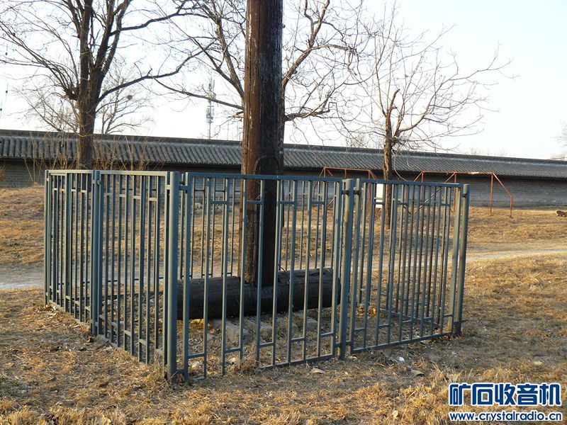 P1110824_yyyy.jpg
