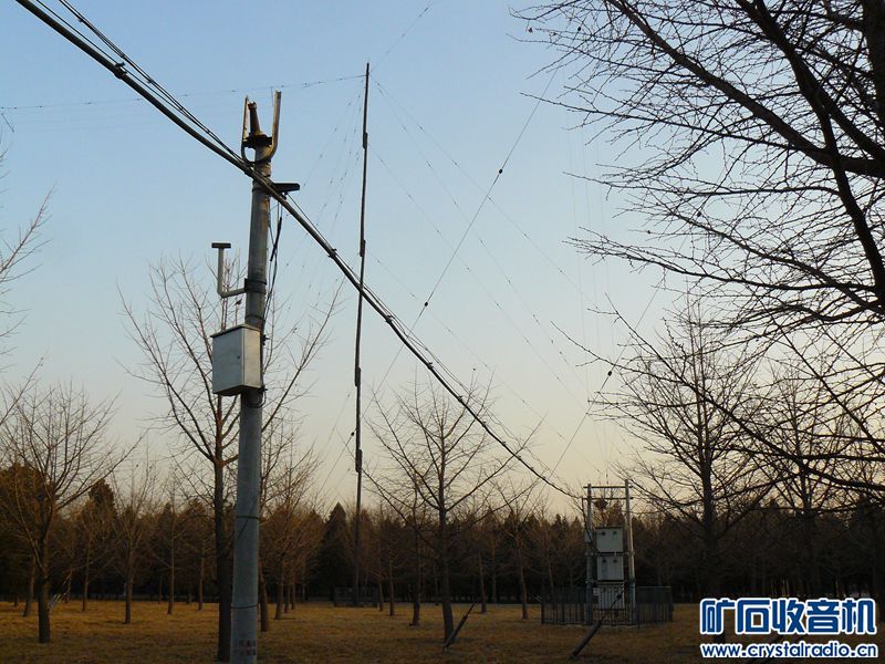 P1110861_yyyy.jpg
