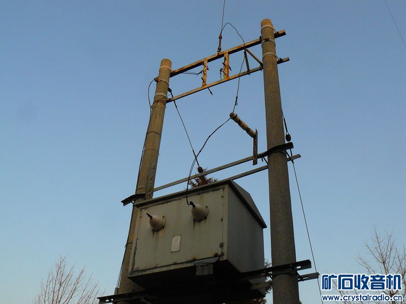P1110895_yyyy.jpg