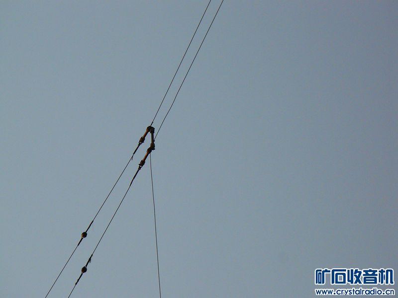 P1110899_yyyy.jpg