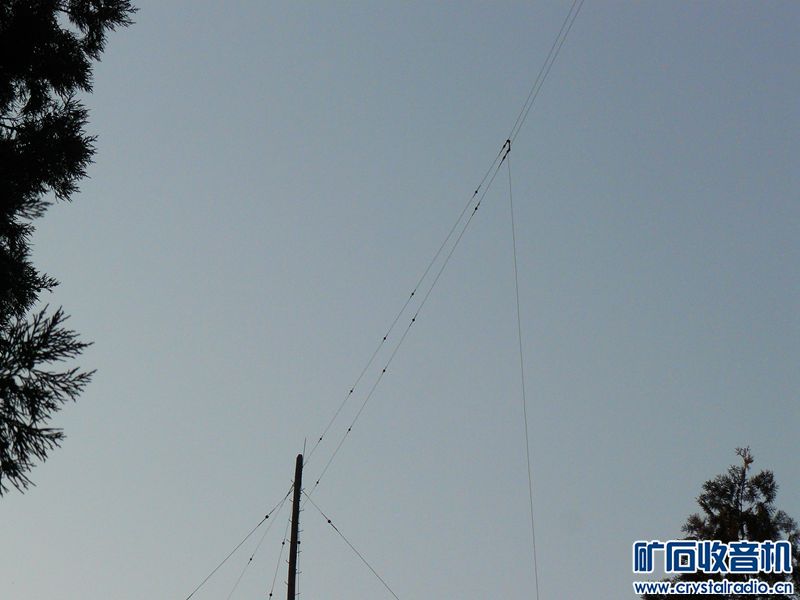 P1110898_yyyy.jpg
