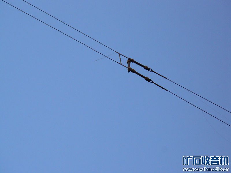 P1110900_yyyy.jpg