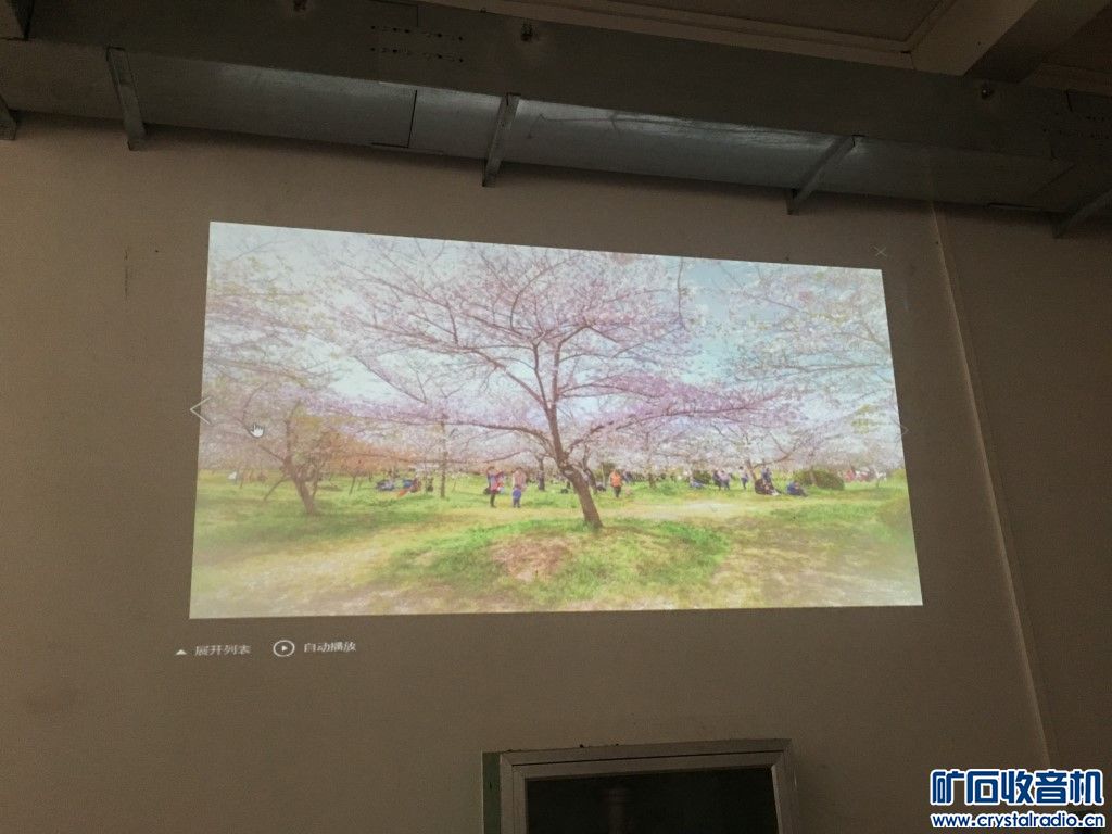 带空气净化功能的投影机一台········