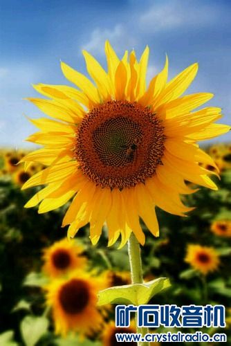 去脚气简单有效方法