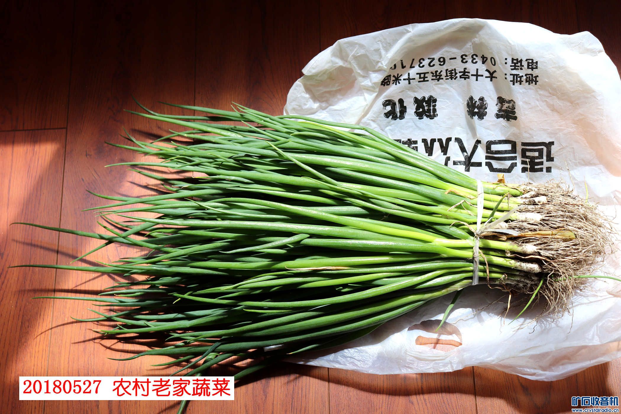 去年秋季下种今年生长的小嫩葱