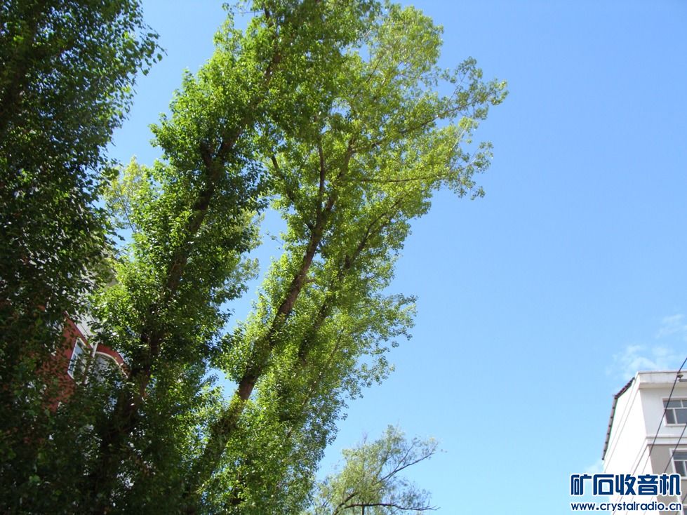 苹果iPod SONY长焦相机 机械键盘 智能手表 尼