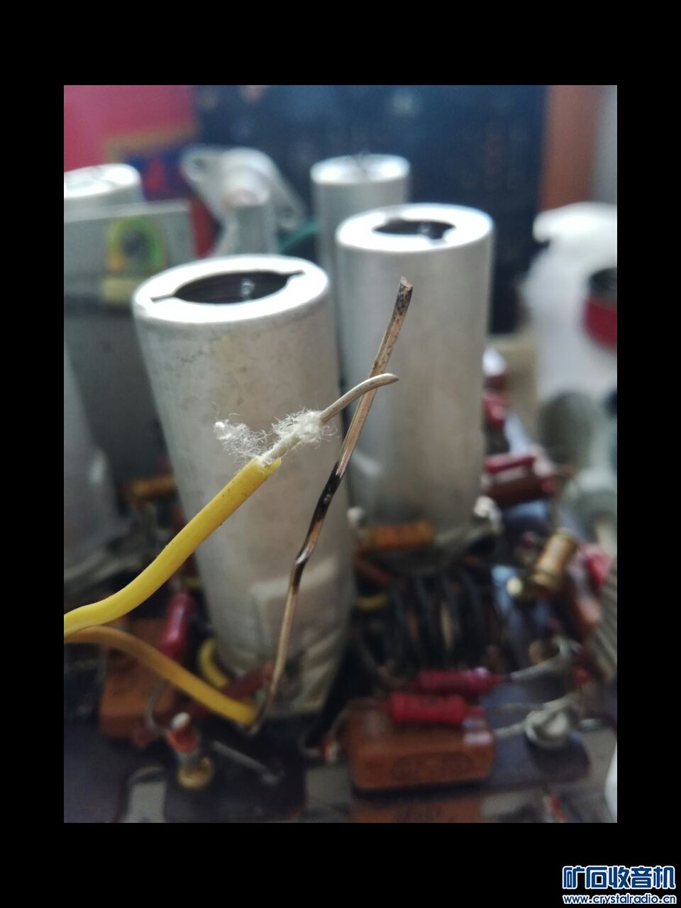 rps20180625_063106.jpg