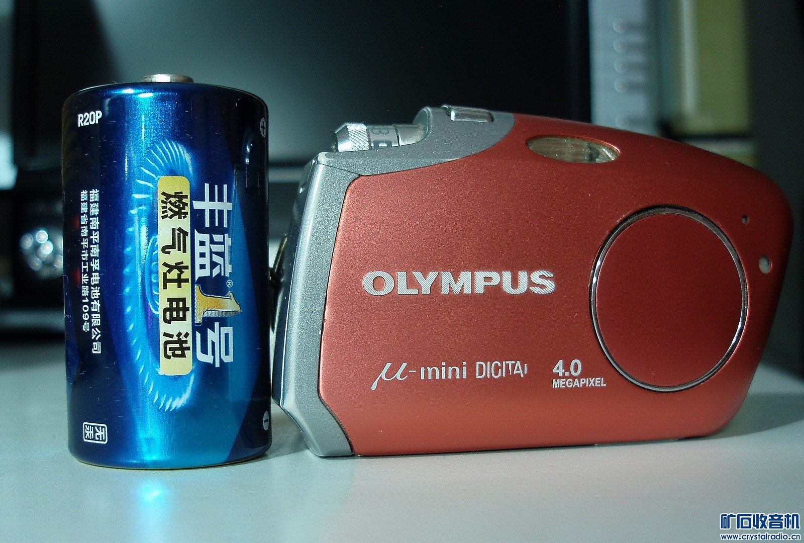 P9010020.jpg