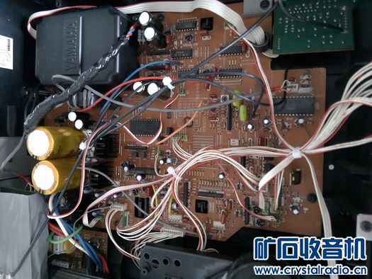 CDX1000_1_С.jpg