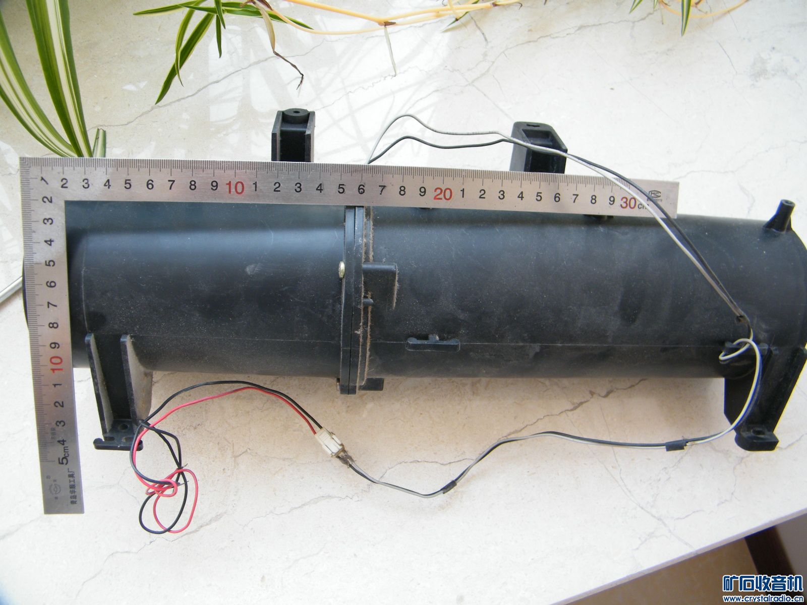 DSCF4355.JPG