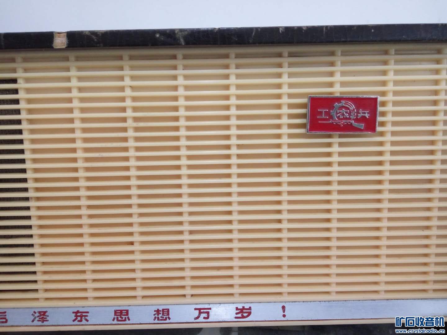 ֻһͼ