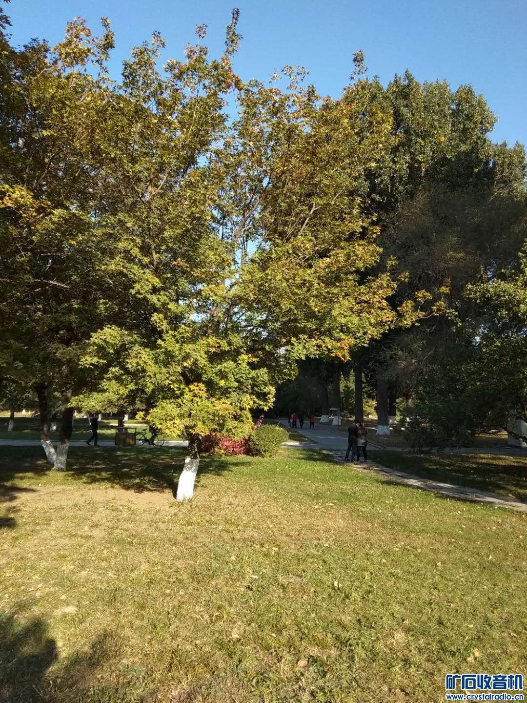 ΢ͼƬ_201810190717421.jpg