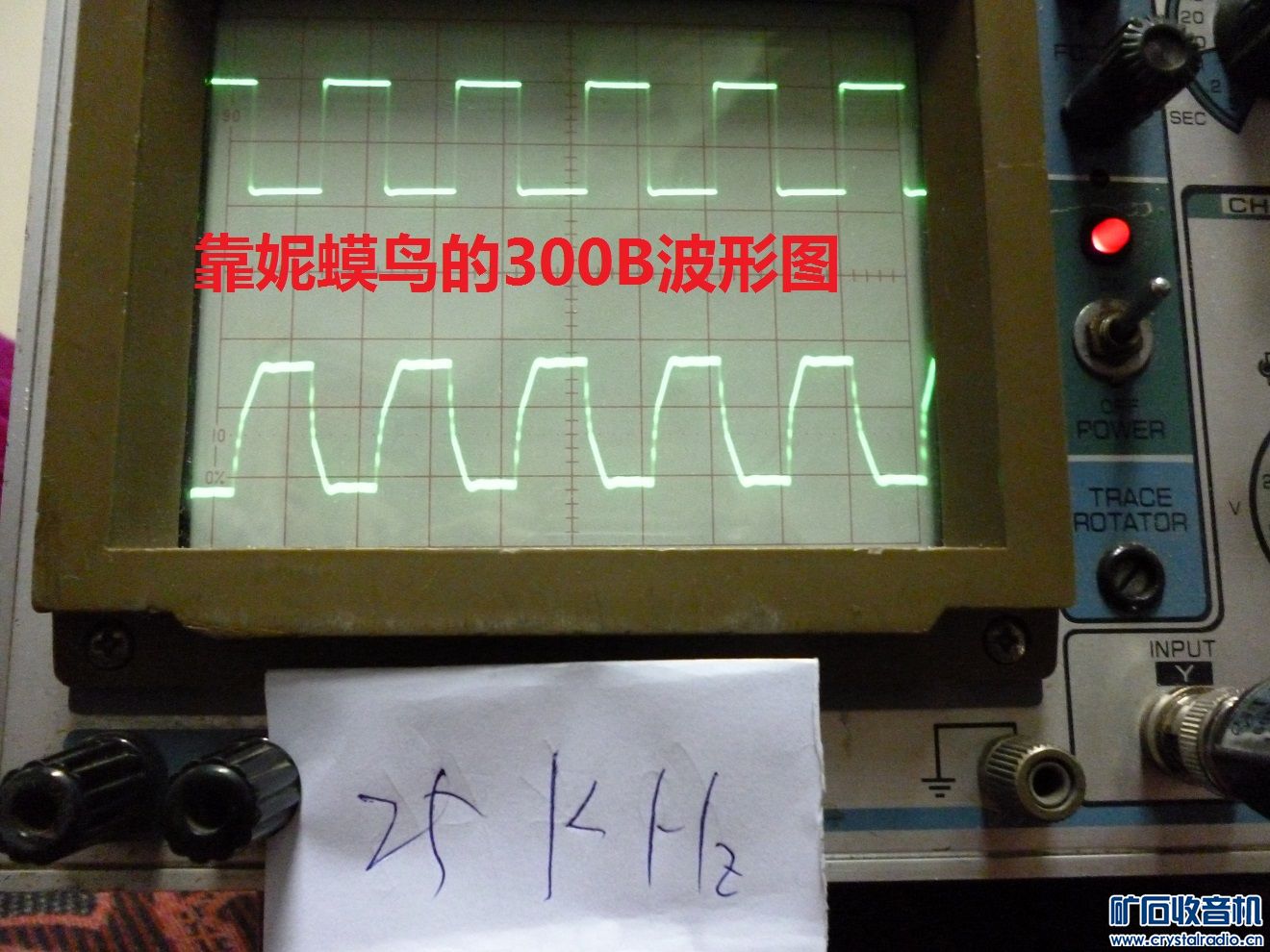 P1040294.JPG