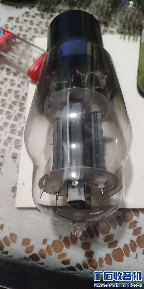 ߲Ⱥܿ