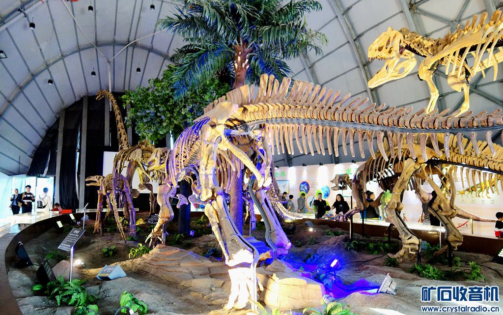 沈阳古生物博物馆恐龙