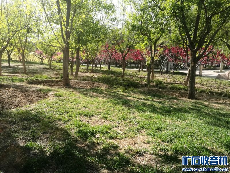 IMG_20190414_153747.jpg